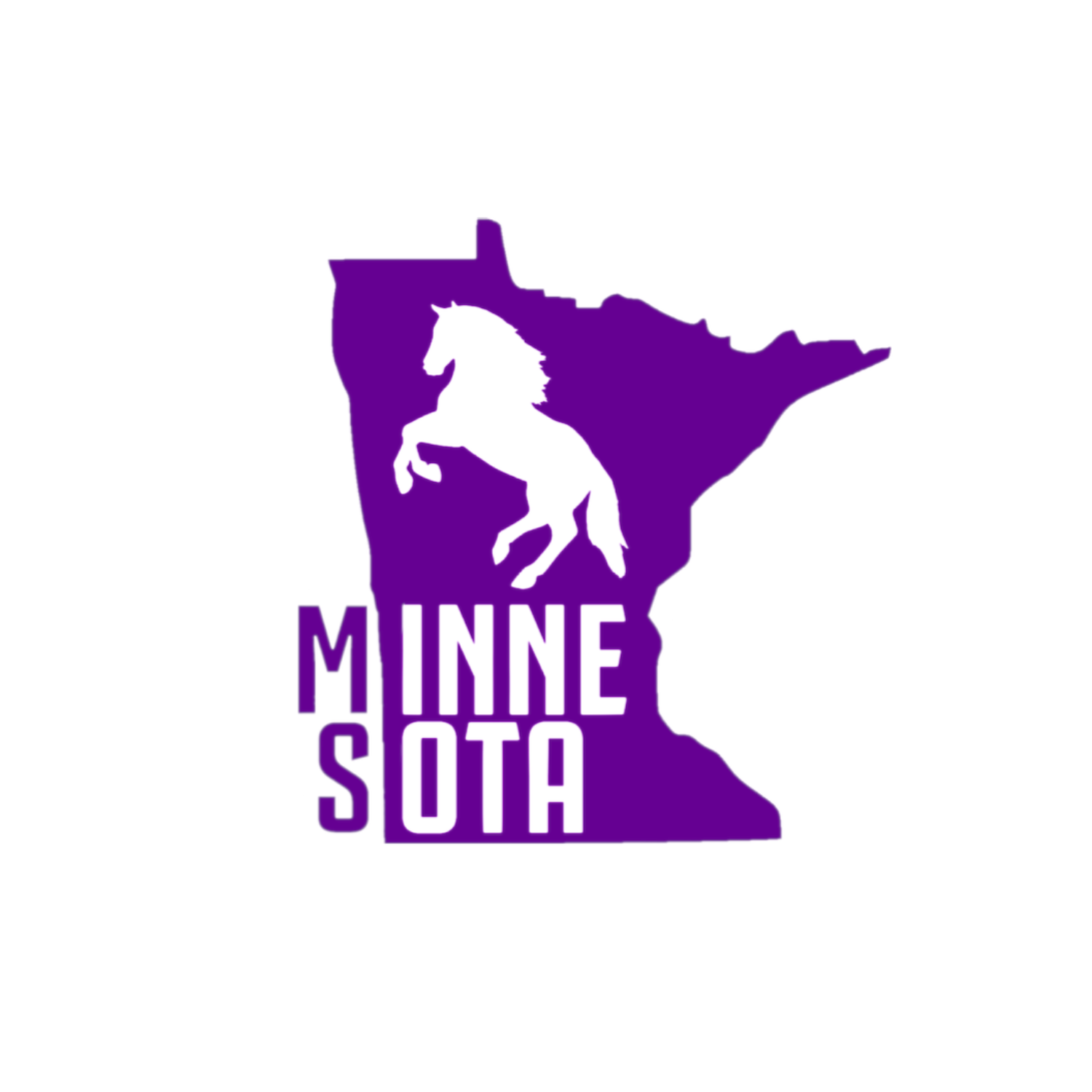 MINNESOTA MS