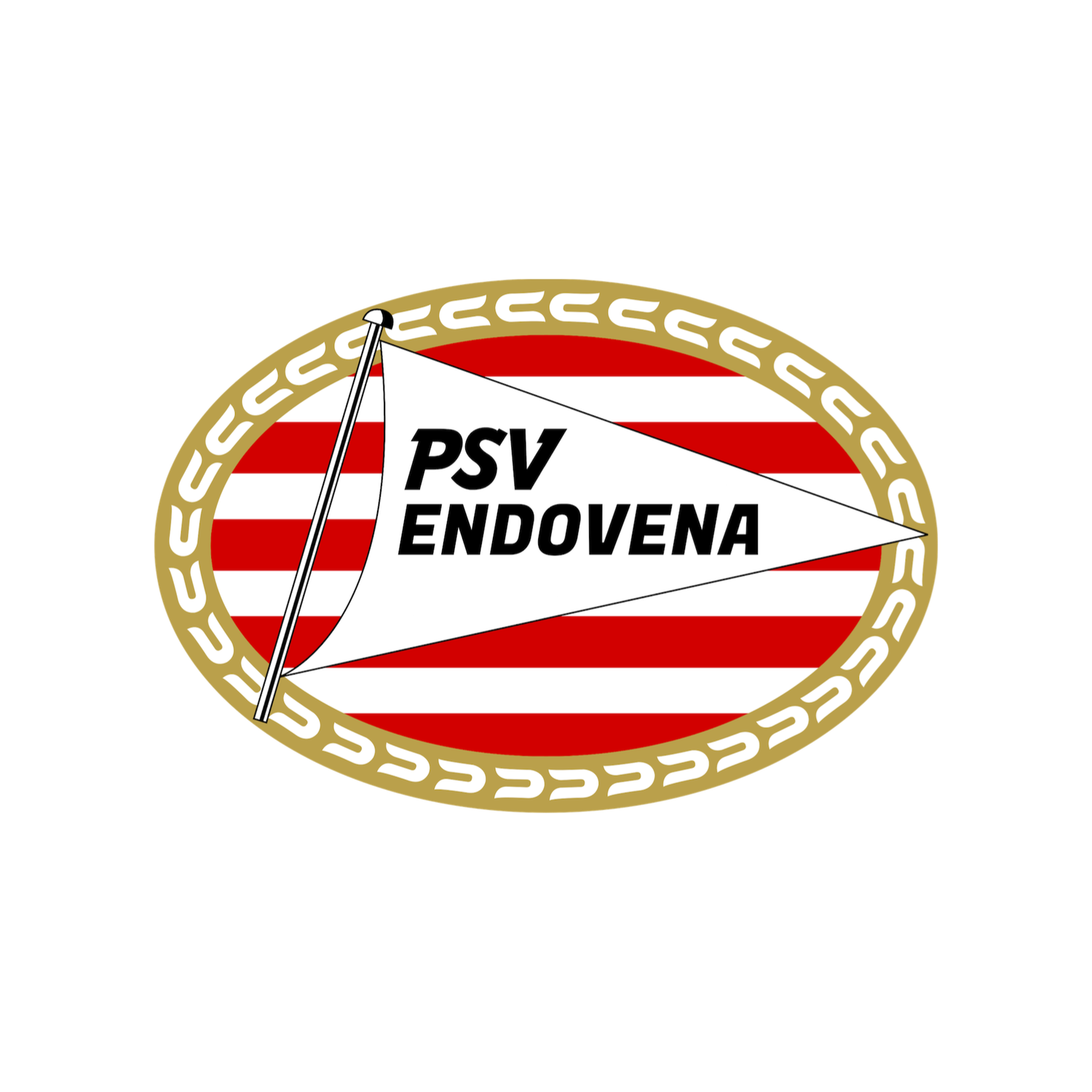 PSV ENDOVENA