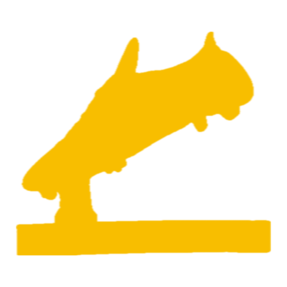 Scarpa d'oro